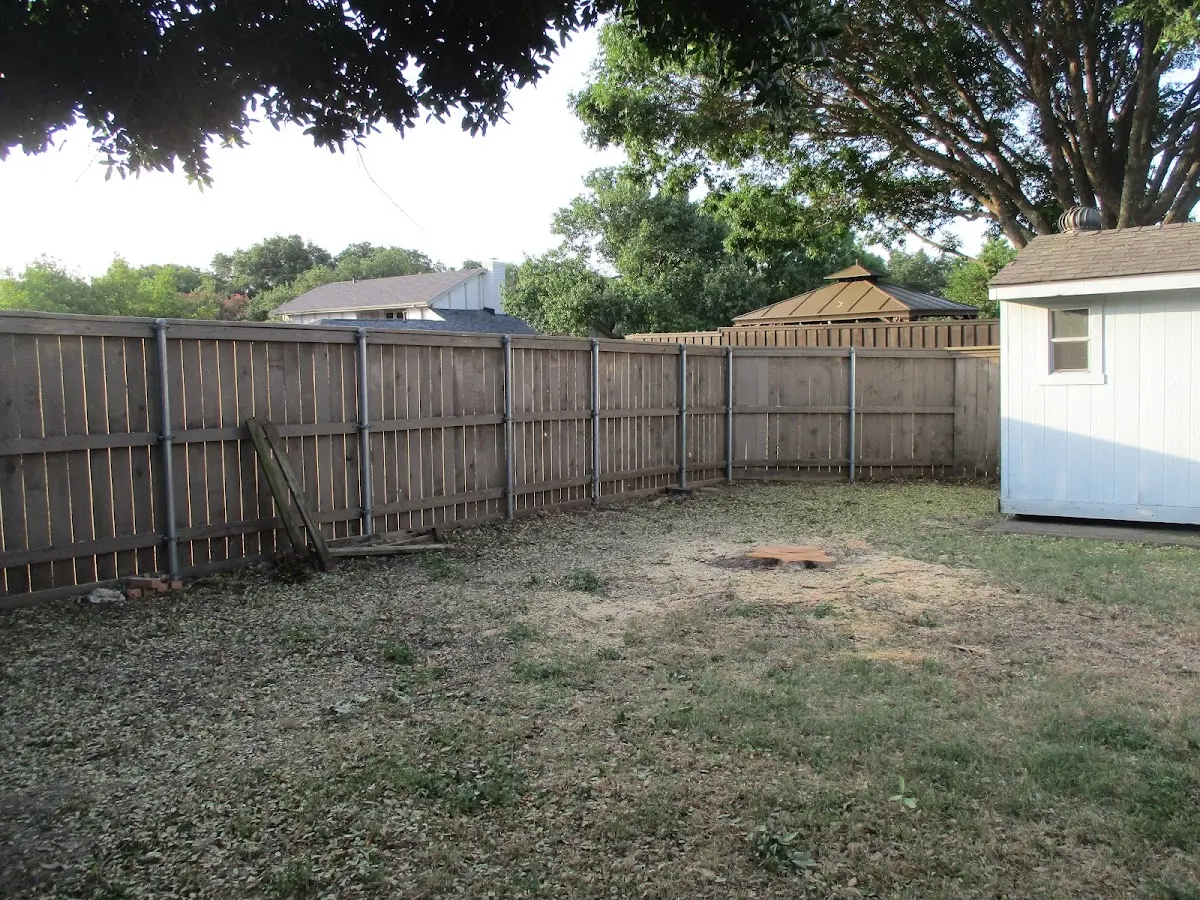 Cleared yard after professional tree removal in Buena